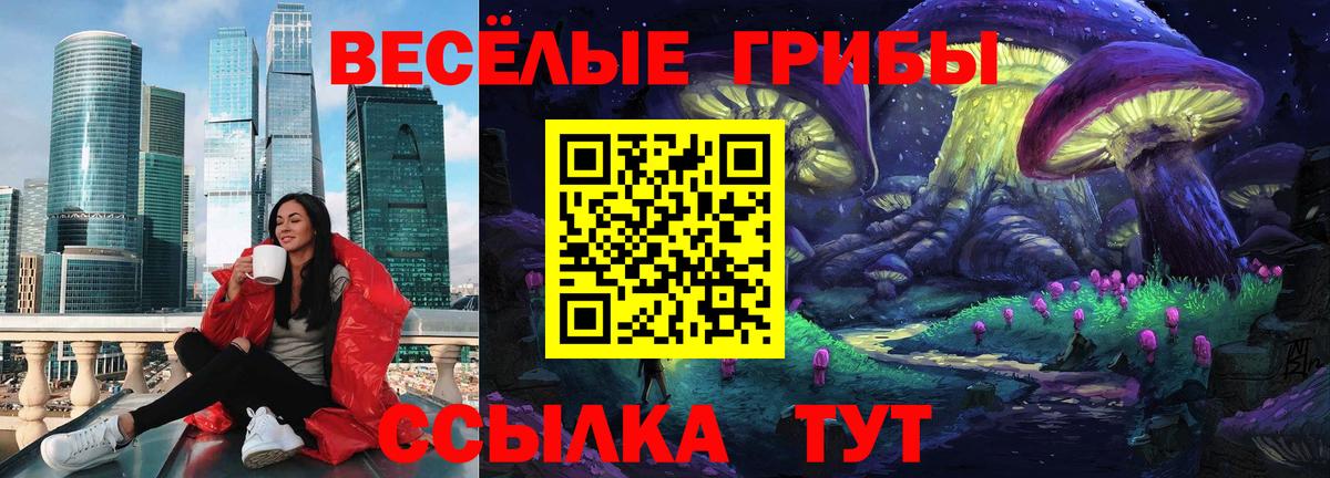 цена наркотик  Галлюциногенные грибы MAGIC MUSHROOMS  Ярцево  Вход с VPN  Галлюциногенные грибы Psilocybe 